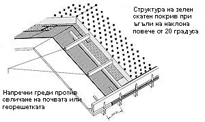 step7_green