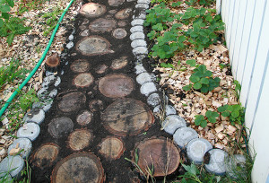 Wooden_Path12
