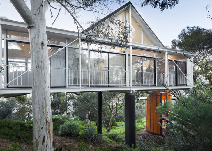 pritchard_treetop_studio2