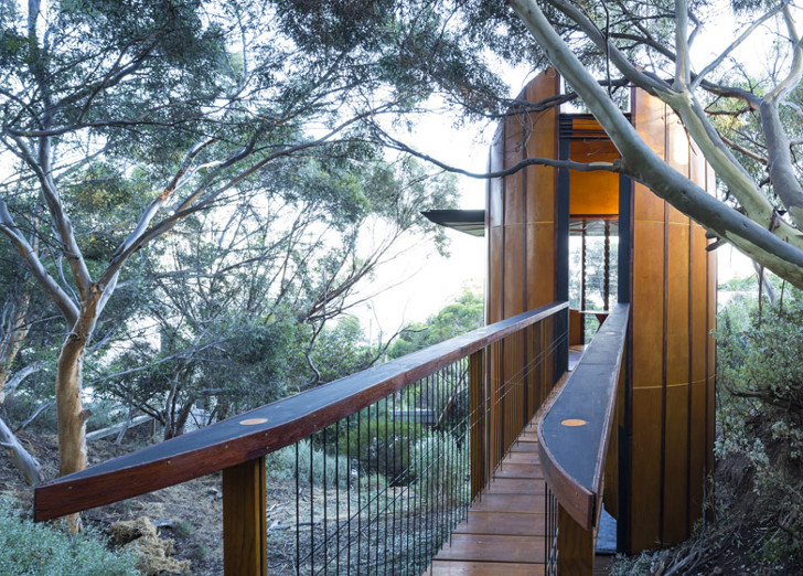 pritchard_treetop_studio4