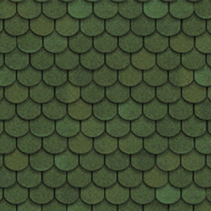 tilercat_ola_green