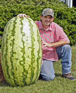 big-vegetables1